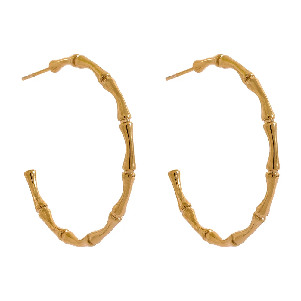 Hoopy Earrings