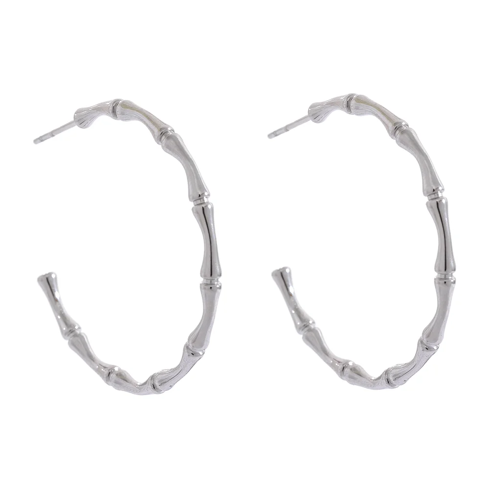 Hoopy Earrings