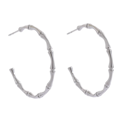 Hoopy Earrings