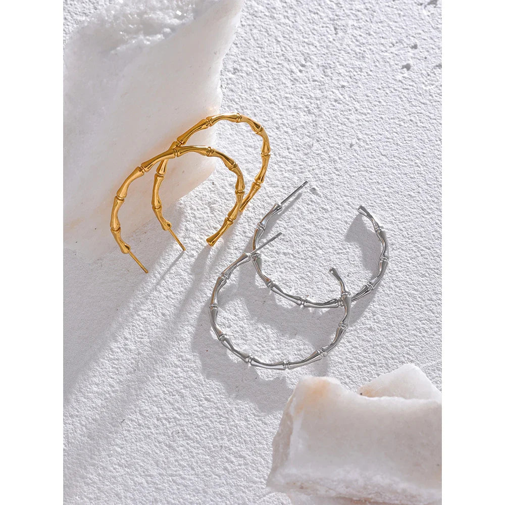 Hoopy Earrings
