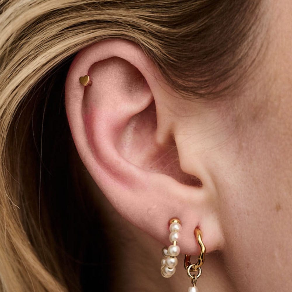 PUSCA Metal Heart Labret